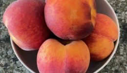 peach-bowl-1-IMG_7712